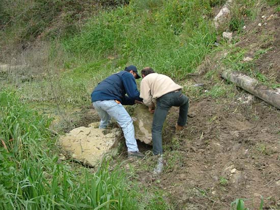 Io & Seby al lavoro